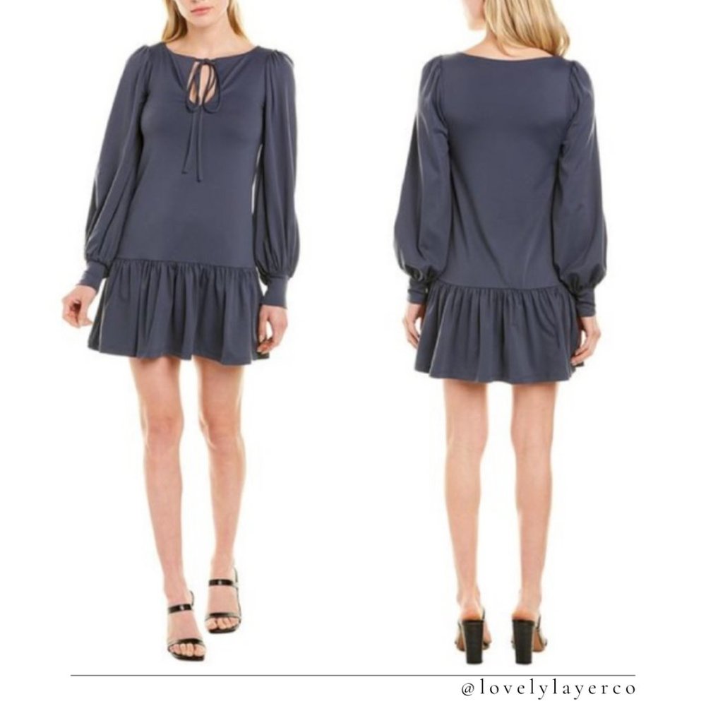 NWT Susana Monaco Long Sleeve Ruffle Mini Dress